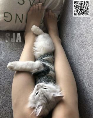 美食的俘虏动漫全集免费观看_超清全集免费播放